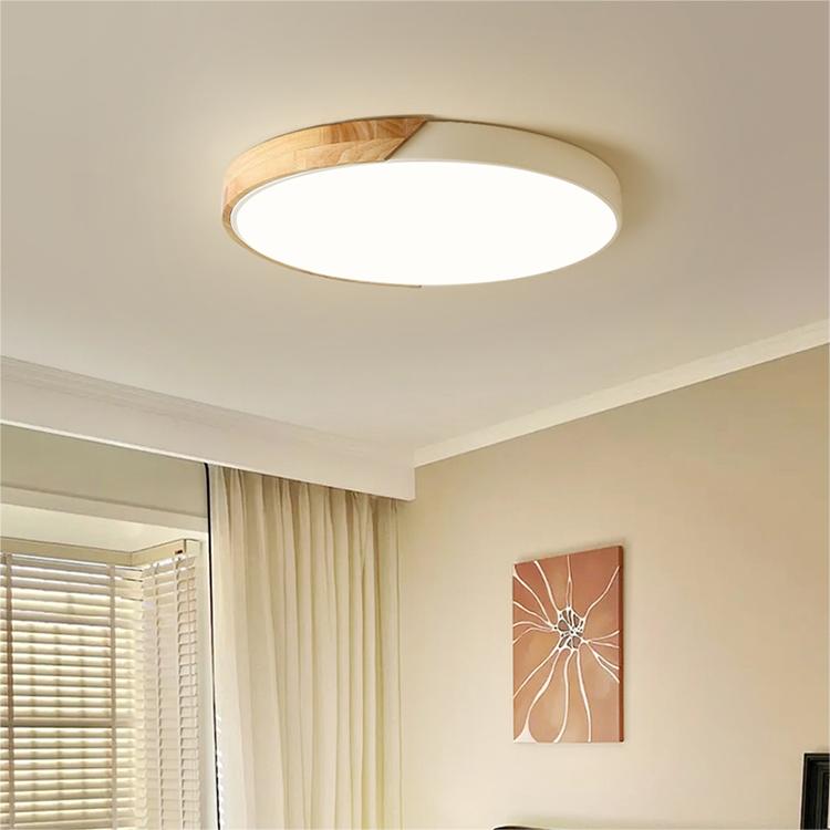 Colorful Minimalist LED Round Ceiling Light