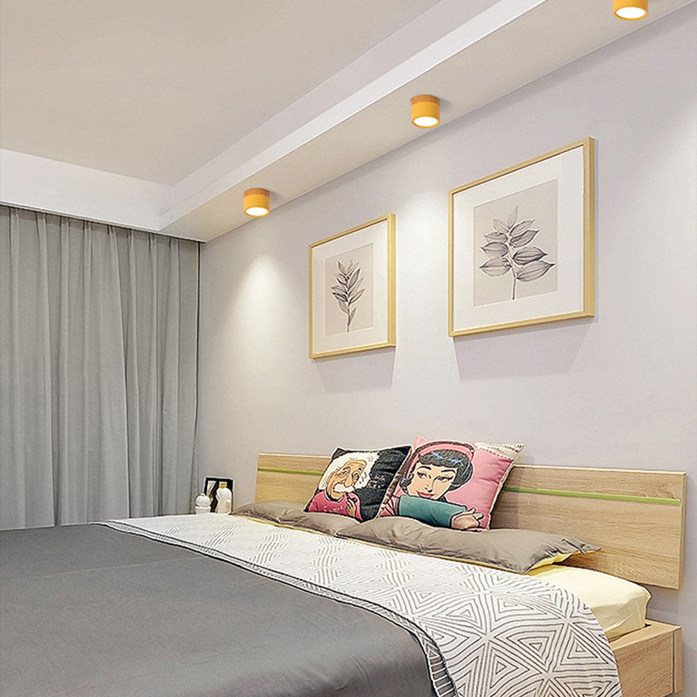 Modern Cylinder Small Flush Mount Ceiling Light