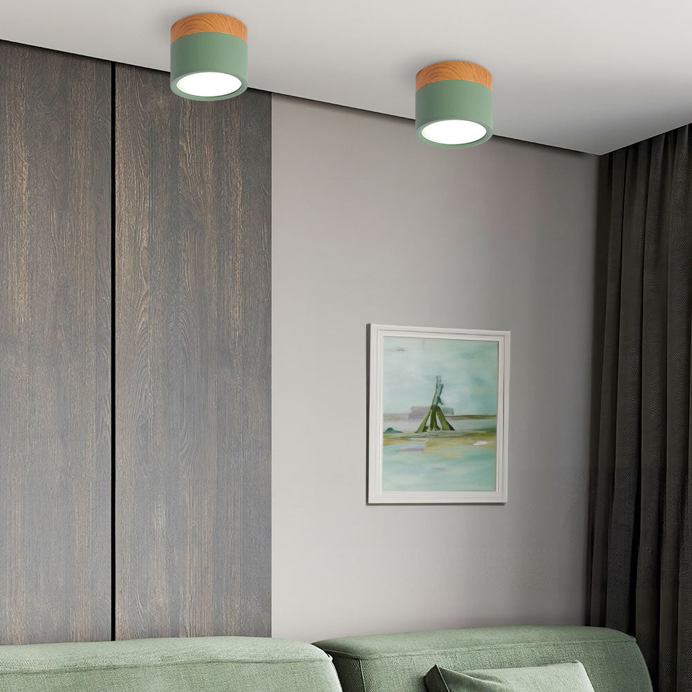 Modern Cylinder Small Flush Mount Ceiling Light