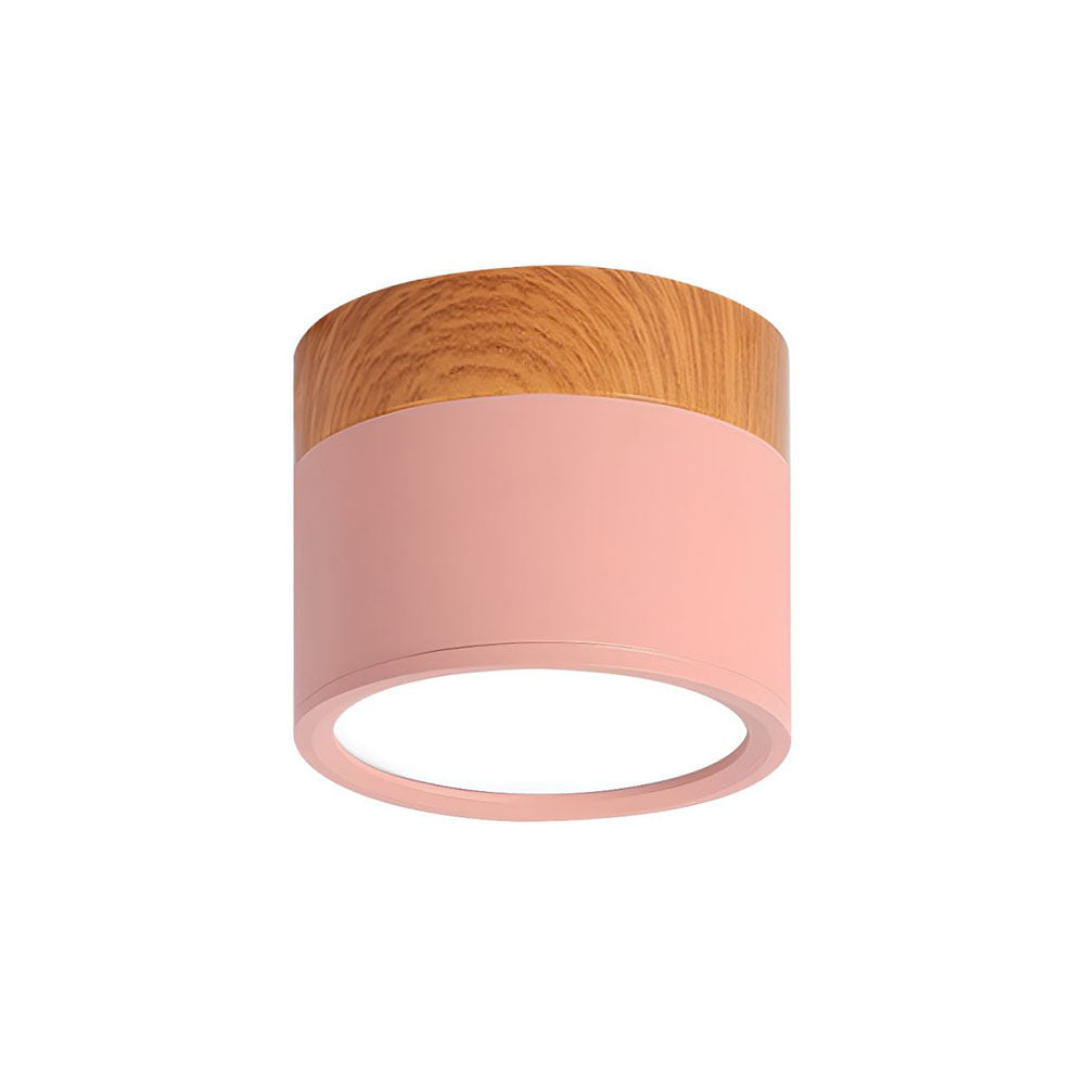 Modern Cylinder Small Flush Mount Ceiling Light