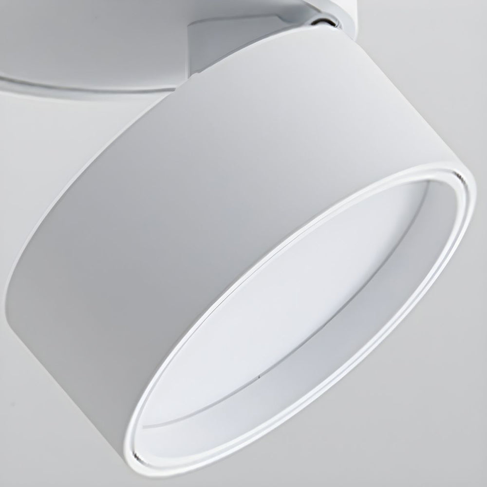 Mini Modern Adjustable Surface Mounted Ceiling Lamp