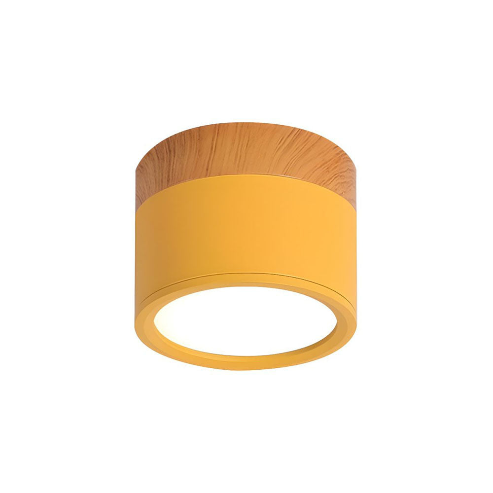 Modern Cylinder Small Flush Mount Ceiling Light
