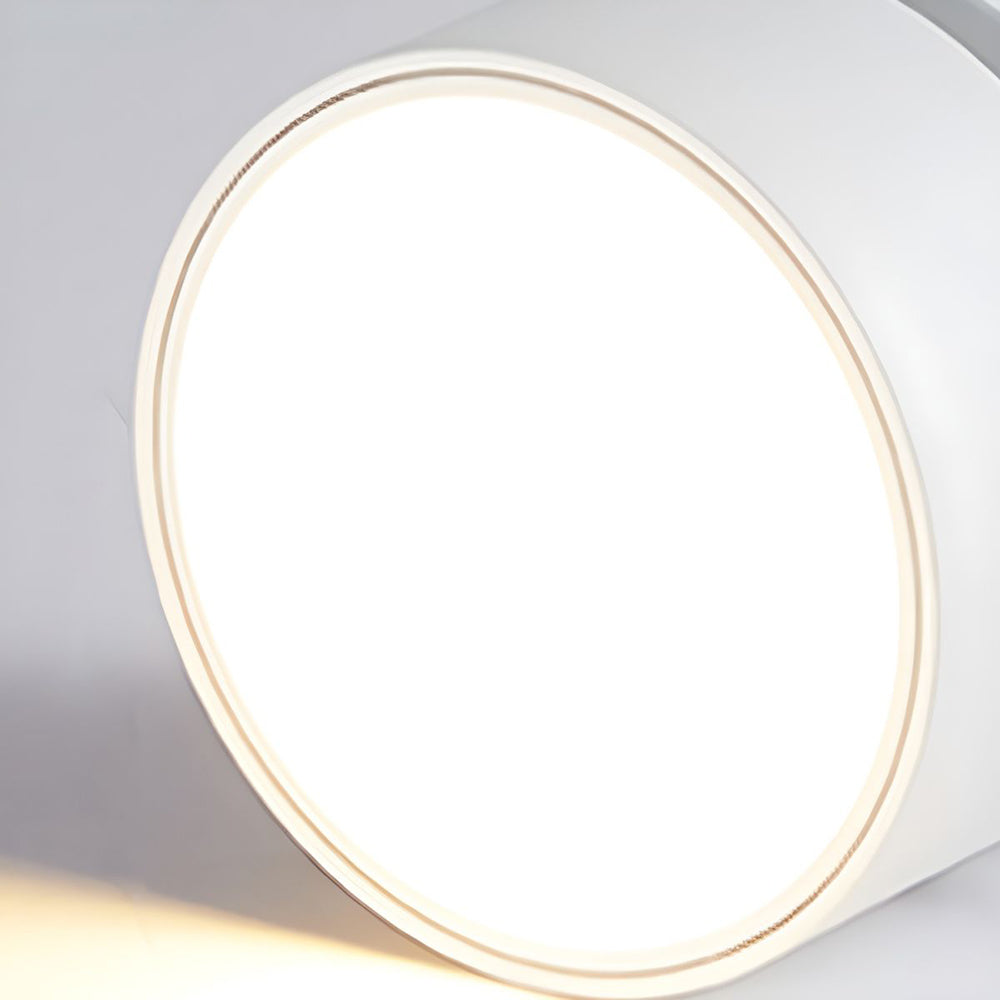 Mini Modern Adjustable Surface Mounted Ceiling Lamp