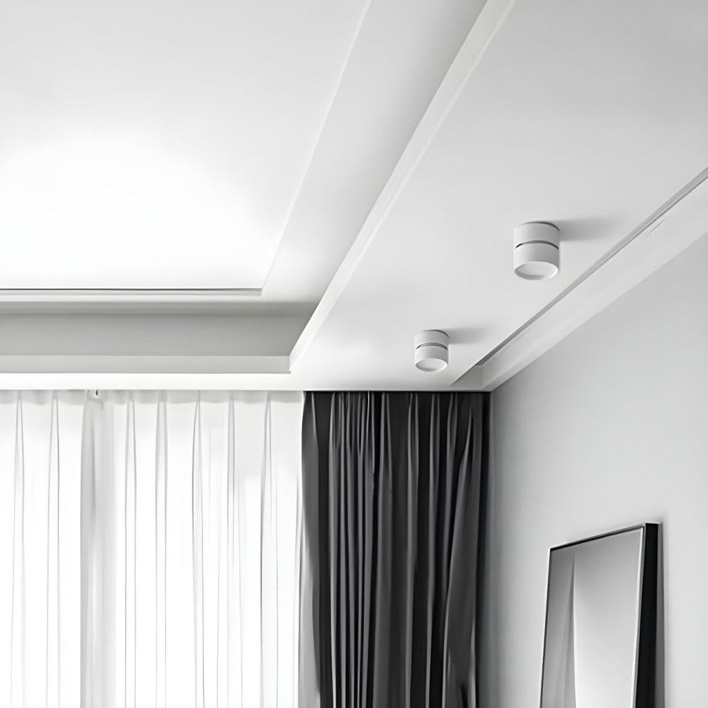 Mini Modern Adjustable Surface Mounted Ceiling Lamp