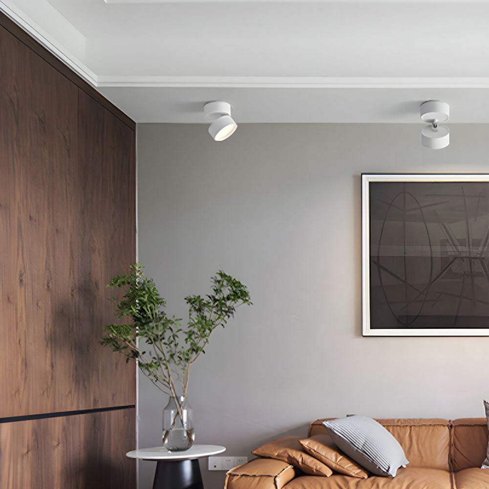 Mini Modern Adjustable Surface Mounted Ceiling Lamp