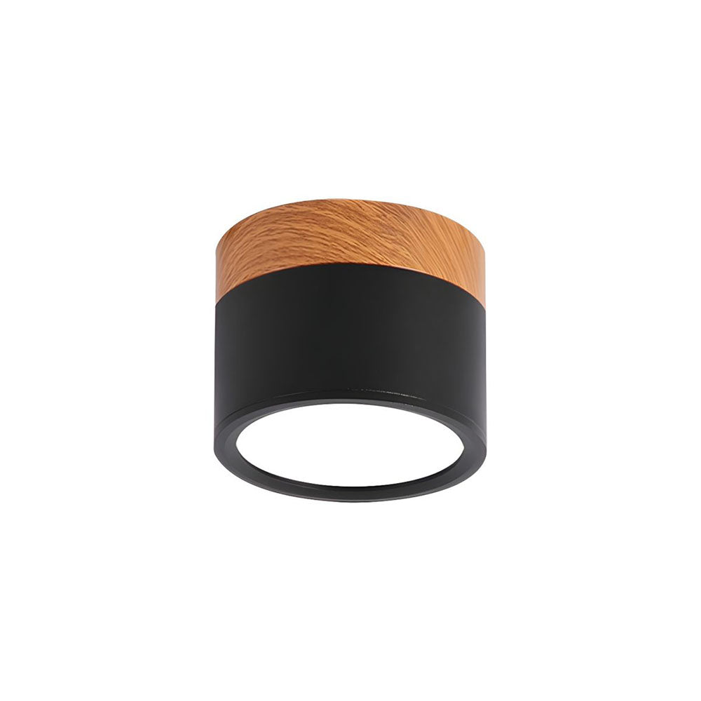 Modern Cylinder Small Flush Mount Ceiling Light
