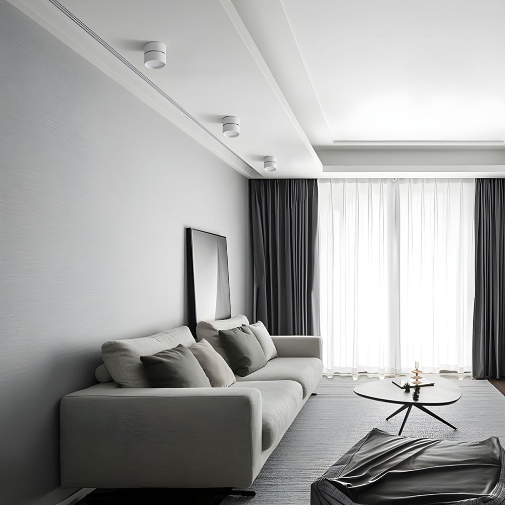 Mini Modern Adjustable Surface Mounted Ceiling Lamp