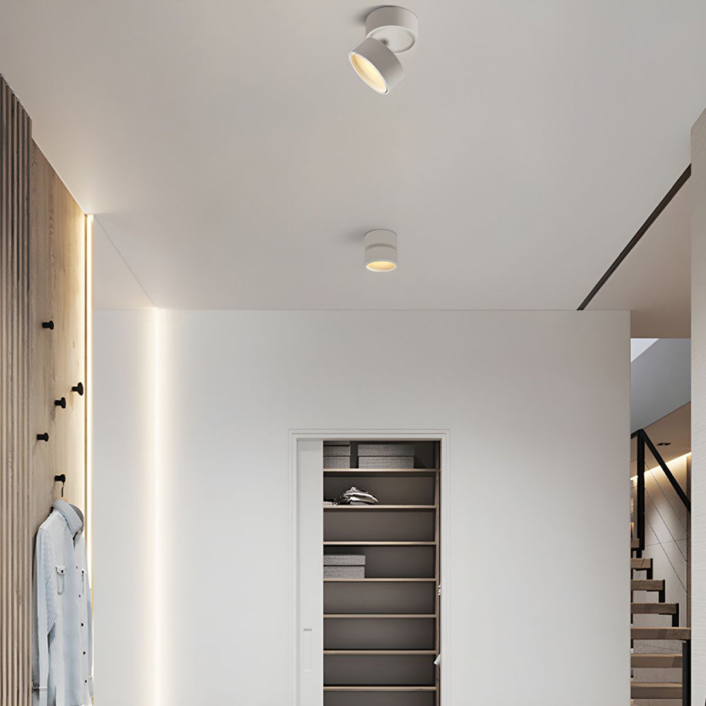 Mini Modern Adjustable Surface Mounted Ceiling Lamp