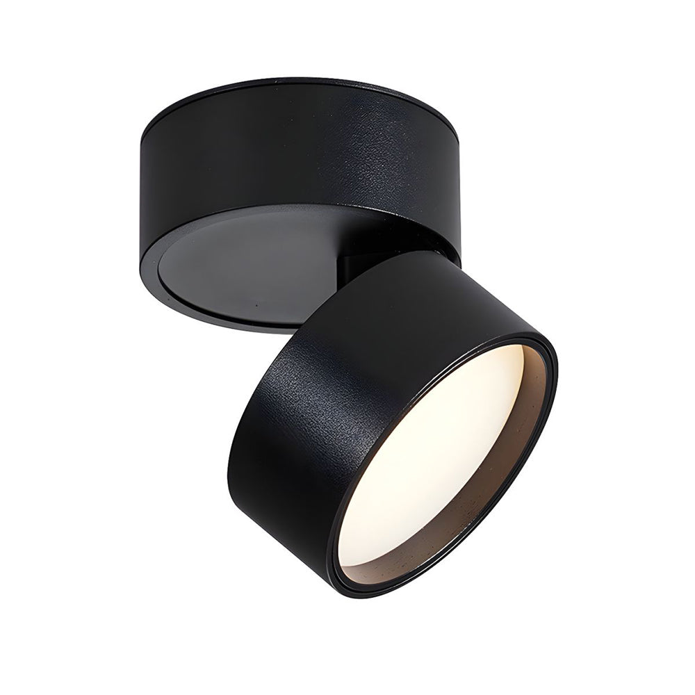 Mini Modern Adjustable Surface Mounted Ceiling Lamp