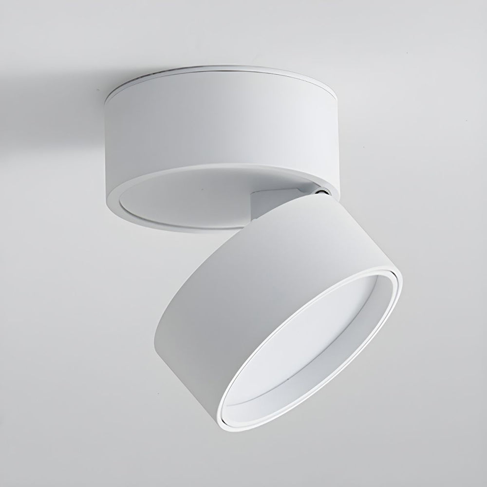 Mini Modern Adjustable Surface Mounted Ceiling Lamp