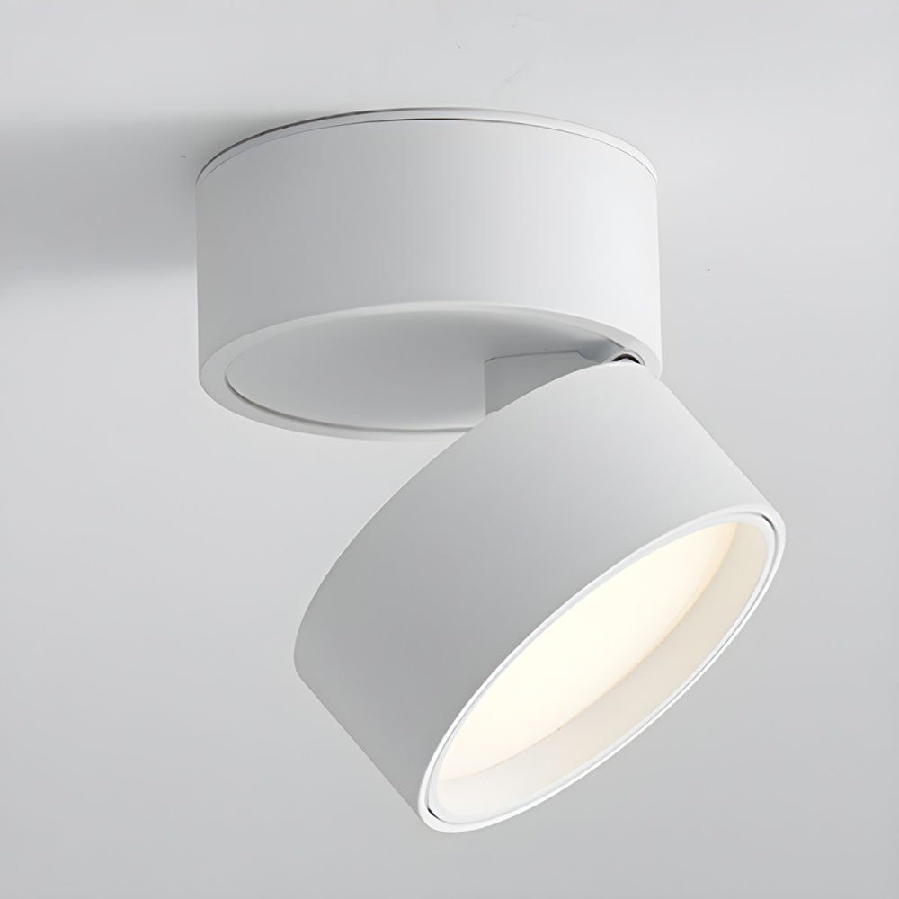 Mini Modern Adjustable Surface Mounted Ceiling Lamp