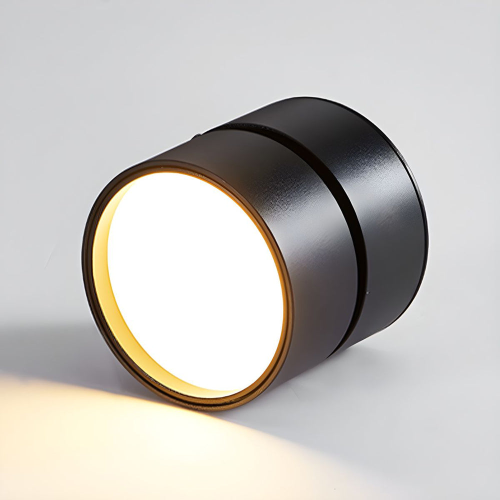 Mini Modern Adjustable Surface Mounted Ceiling Lamp