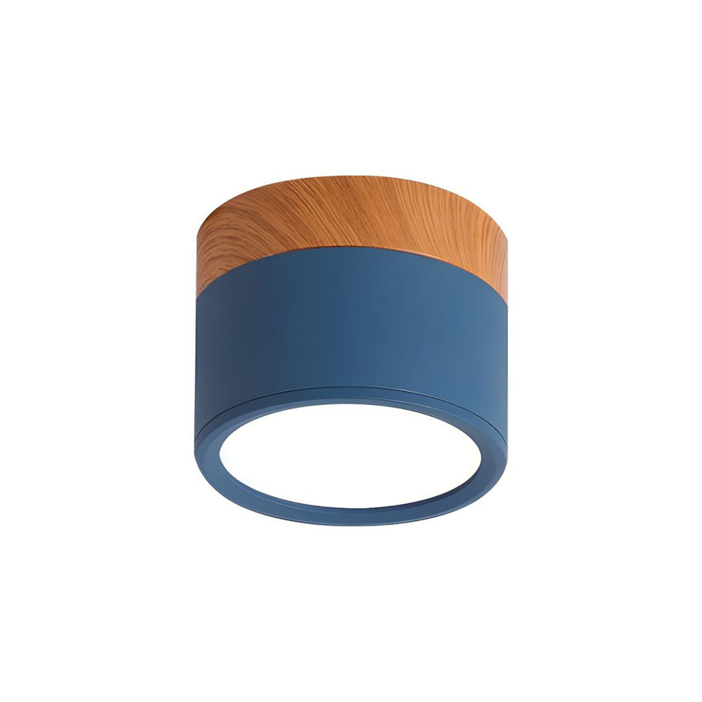 Modern Cylinder Small Flush Mount Ceiling Light