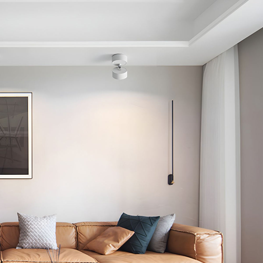 Mini Modern Adjustable Surface Mounted Ceiling Lamp