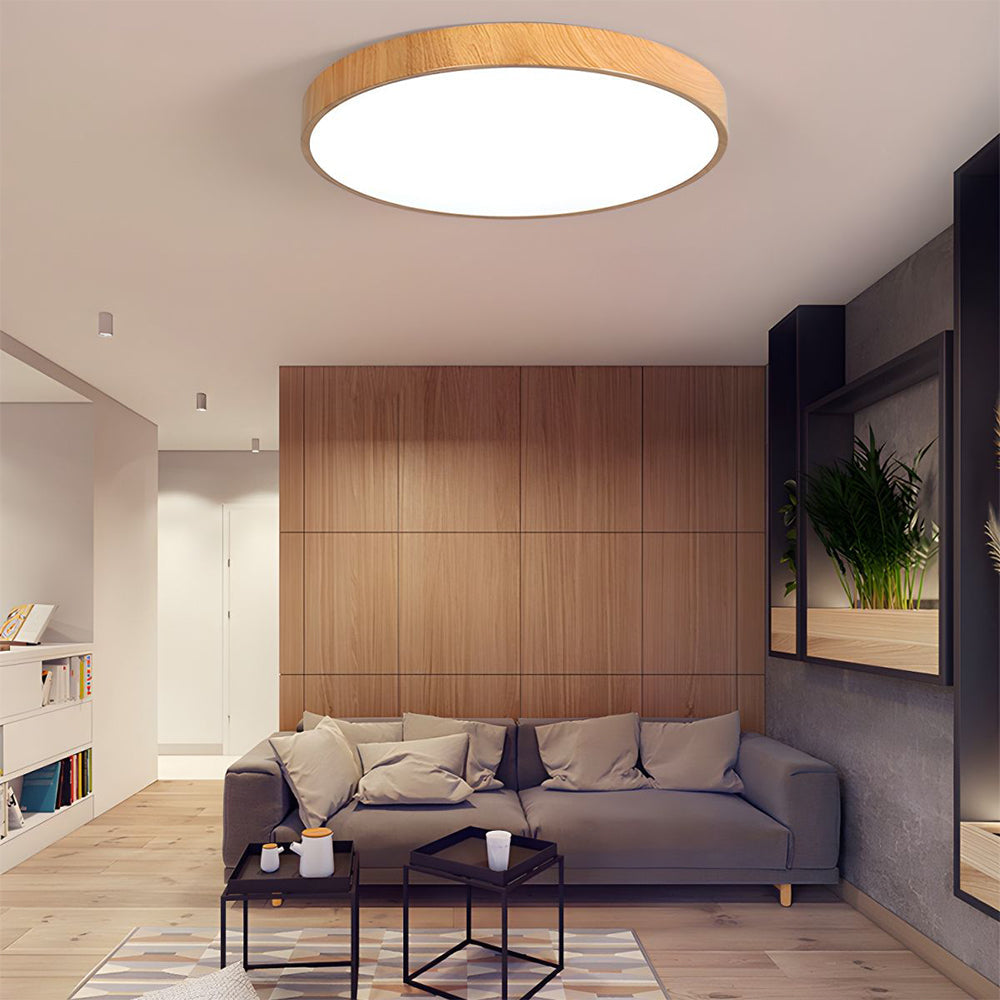Concise Modern Wrought Iron Ceiling Light