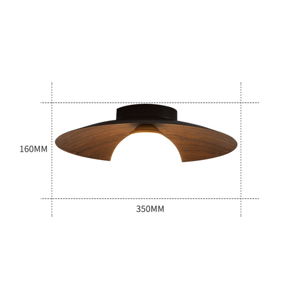 Minimalist Modern Entrance Ceiling Lights