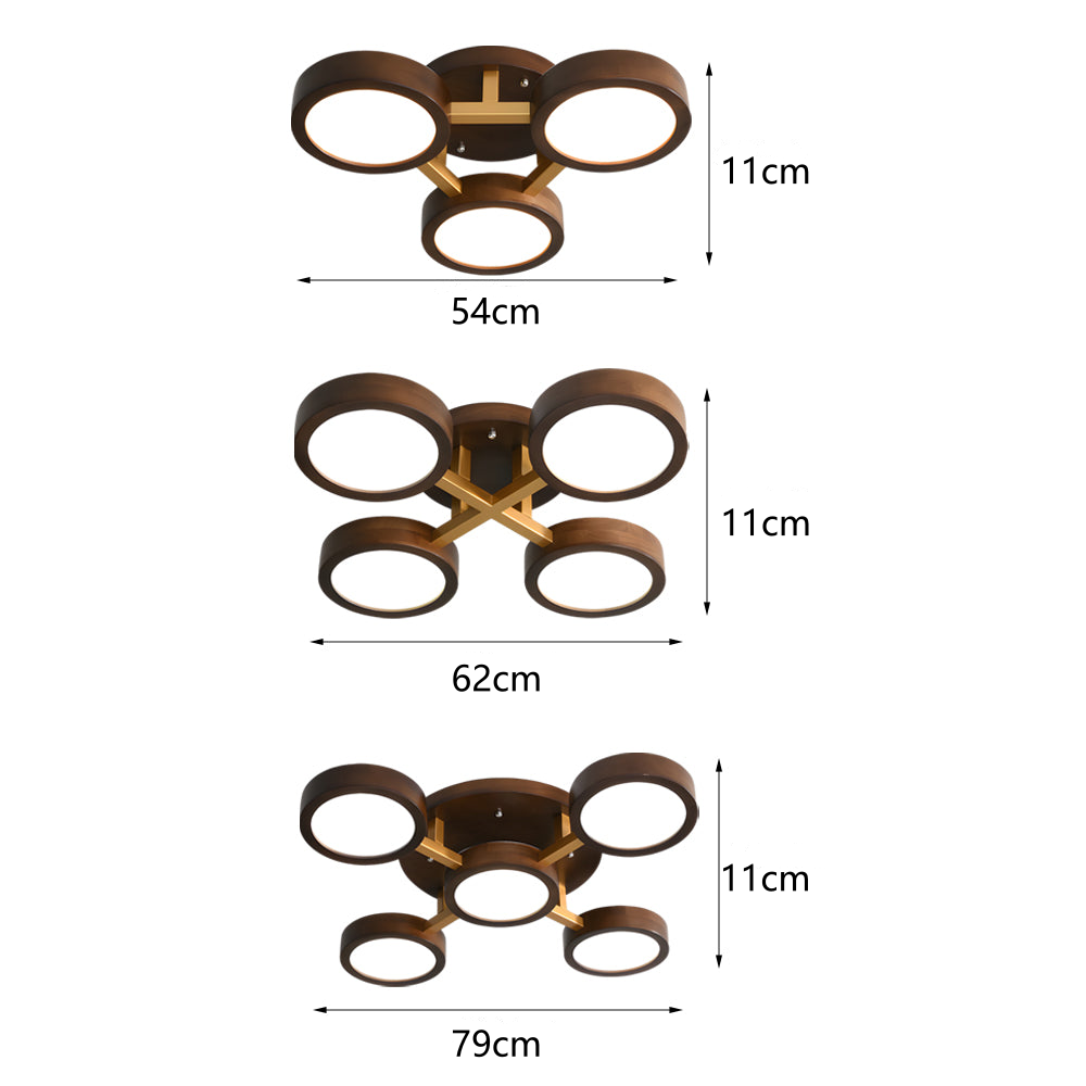 Iron Wood Modern LED Bedroom Ceiling Light
