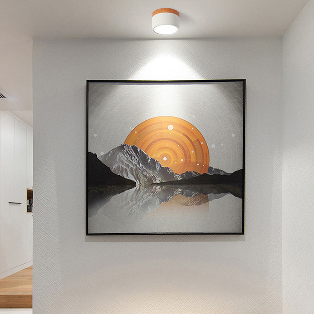 Modern Cylinder Small Flush Mount Ceiling Light