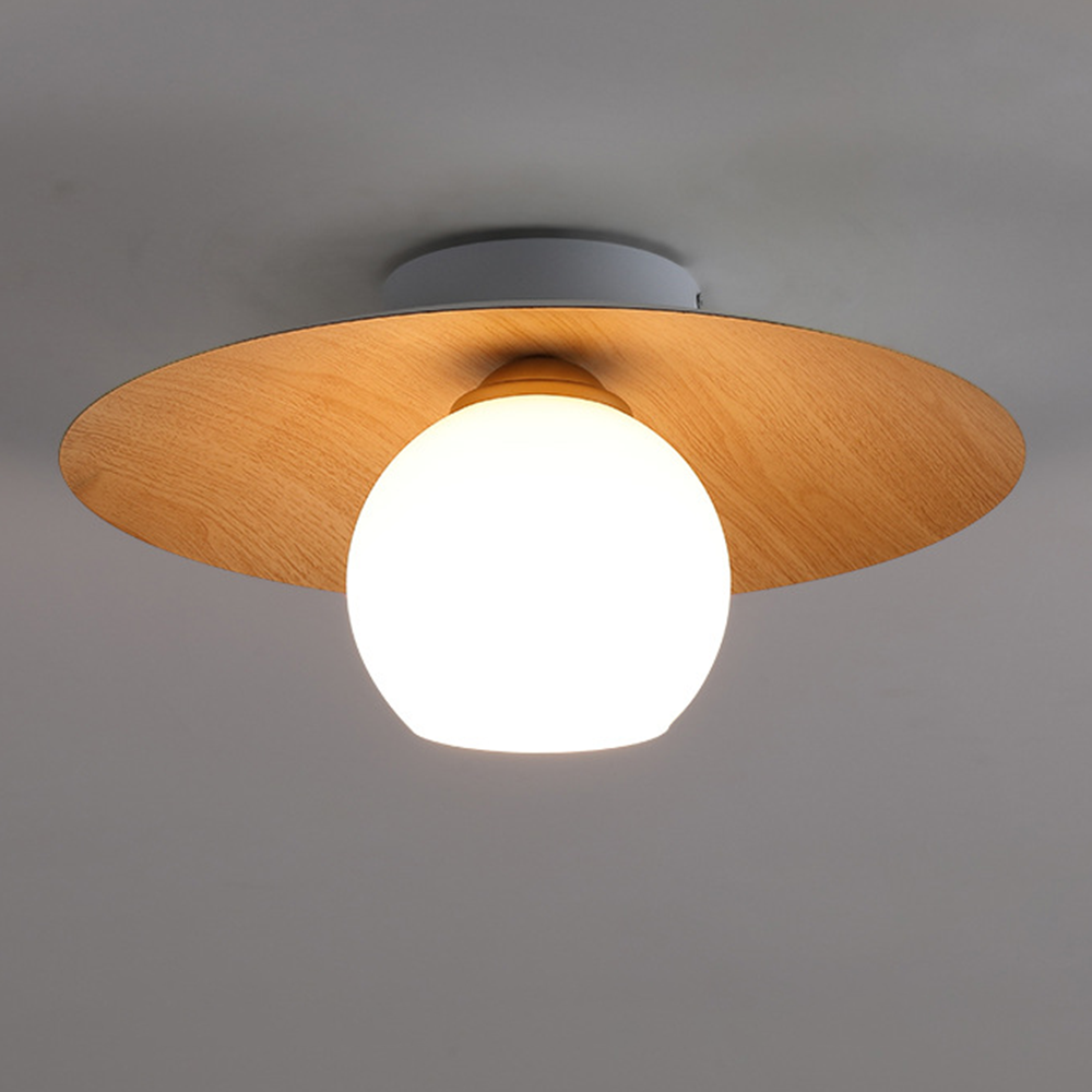 Minimalist Modern Entrance Ceiling Lights