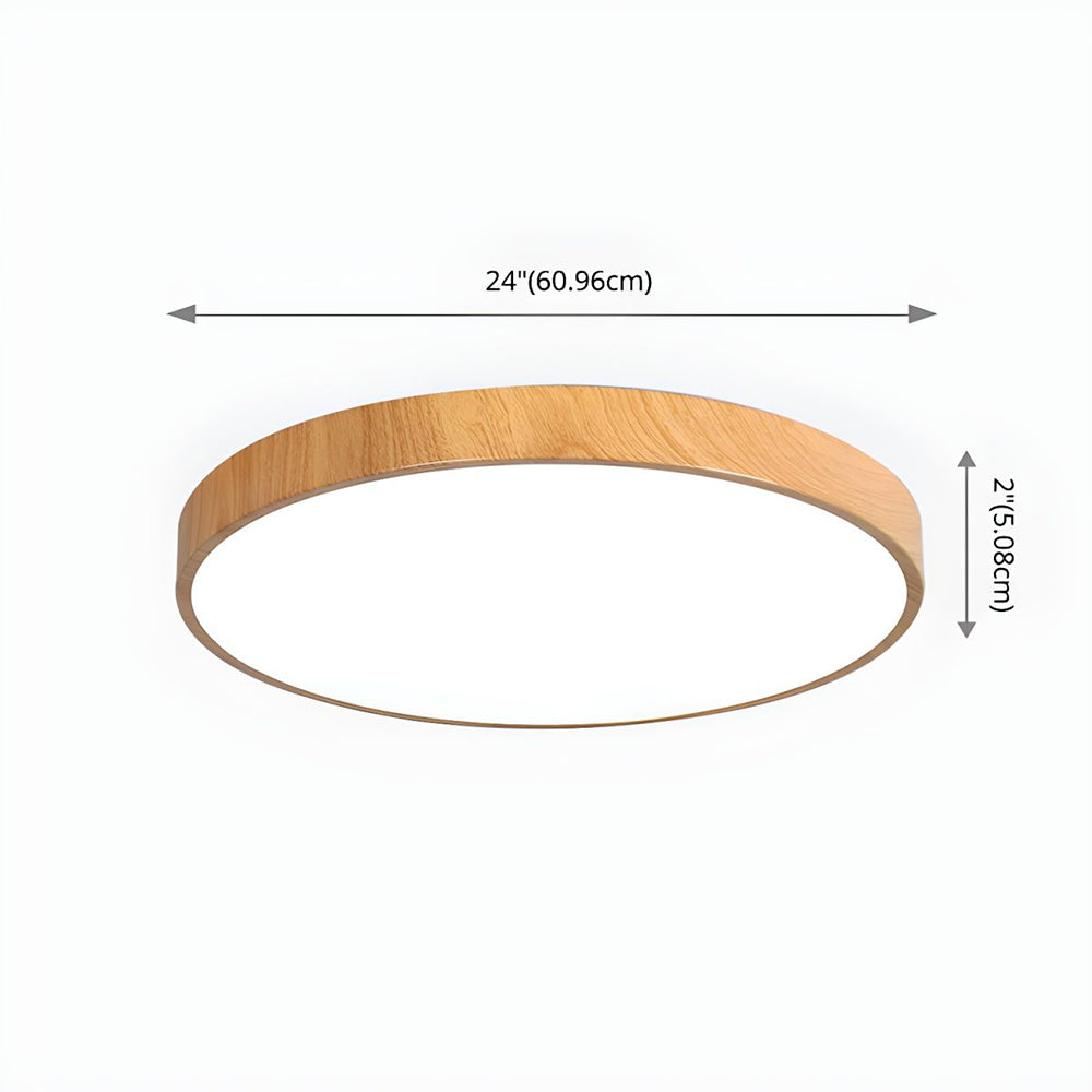 Concise Modern Wrought Iron Ceiling Light