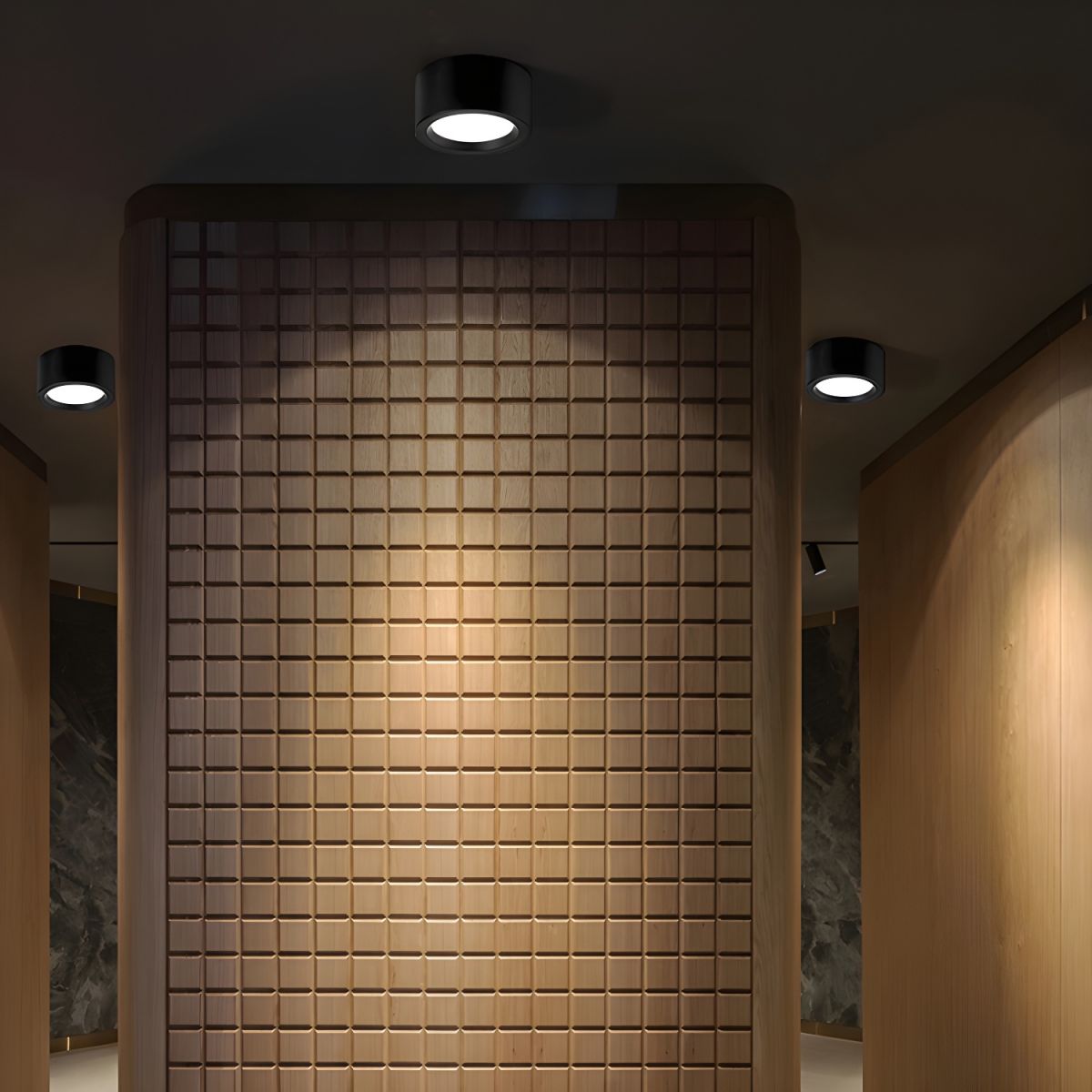 Nordic Minimalist Surface Mounted LED Ceiling Light