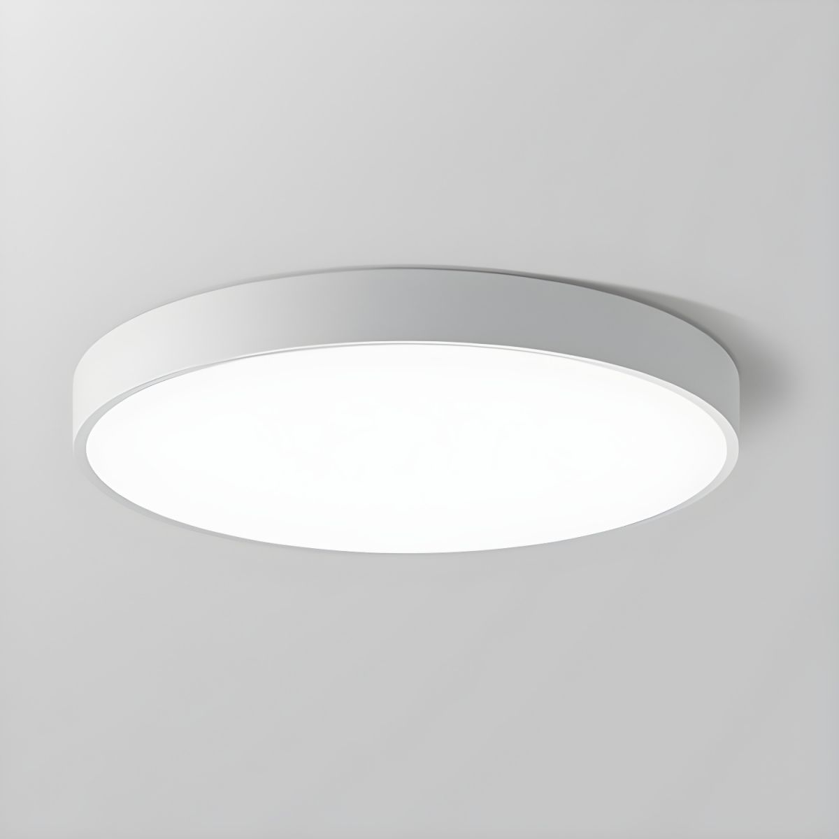 Circular Modern LED Flush Mount Ceiling Light