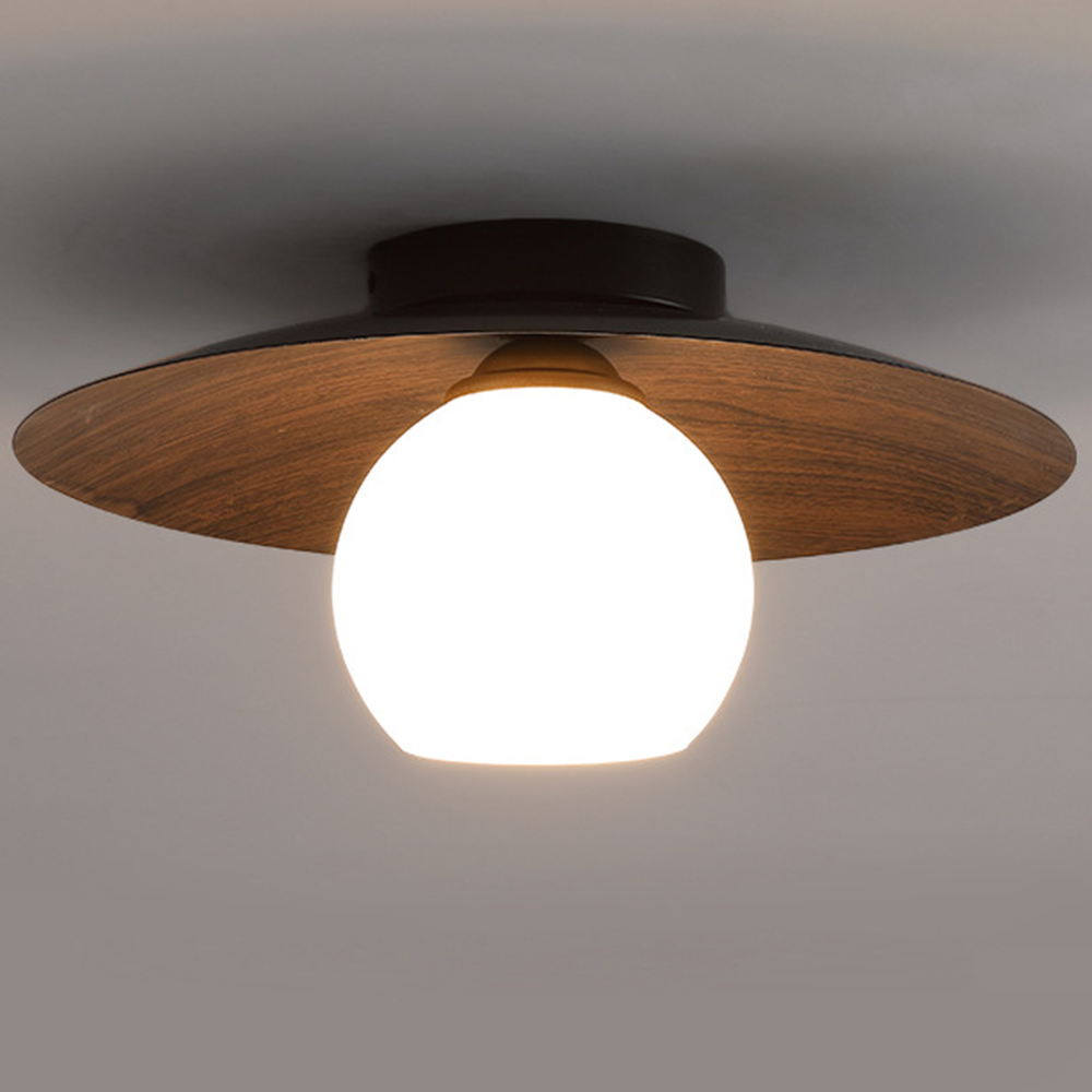 Minimalist Modern Entrance Ceiling Lights