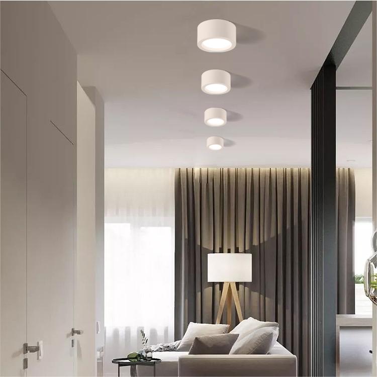 Nordic Modern Indoor Ceiling Lights