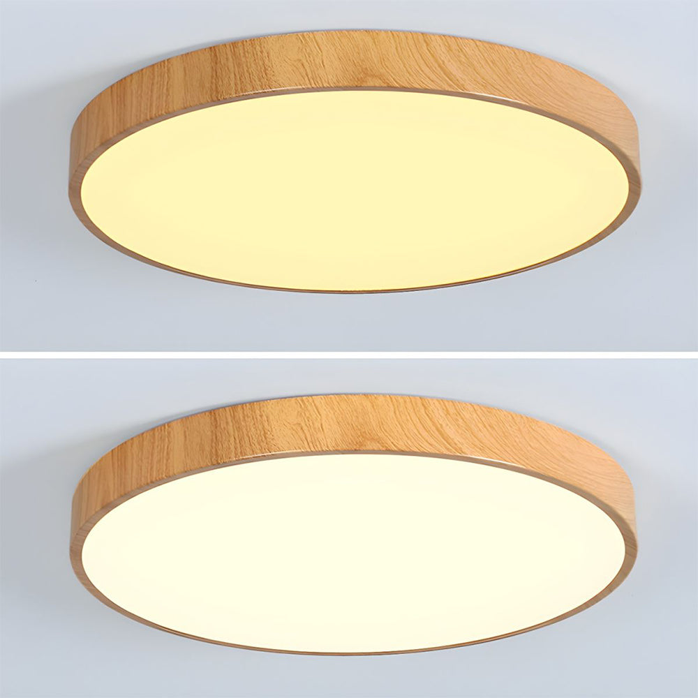 Concise Modern Wrought Iron Ceiling Light