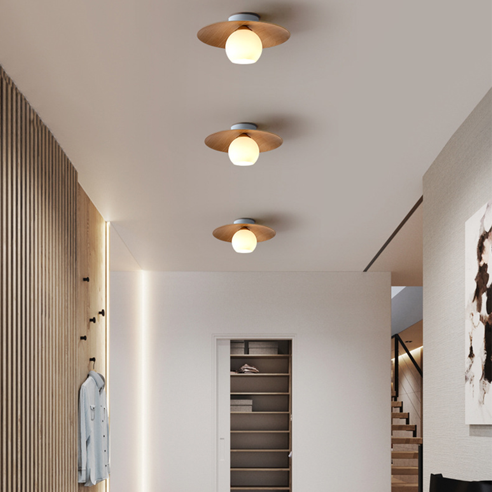 Minimalist Modern Entrance Ceiling Lights