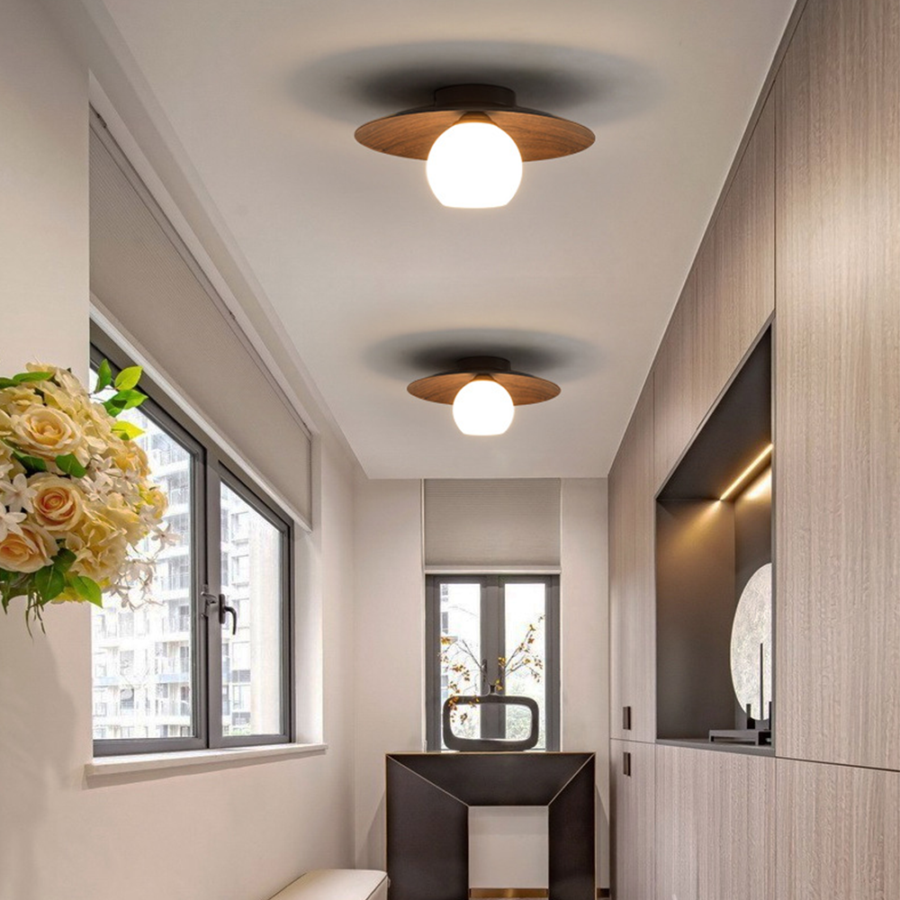 Minimalist Modern Entrance Ceiling Lights