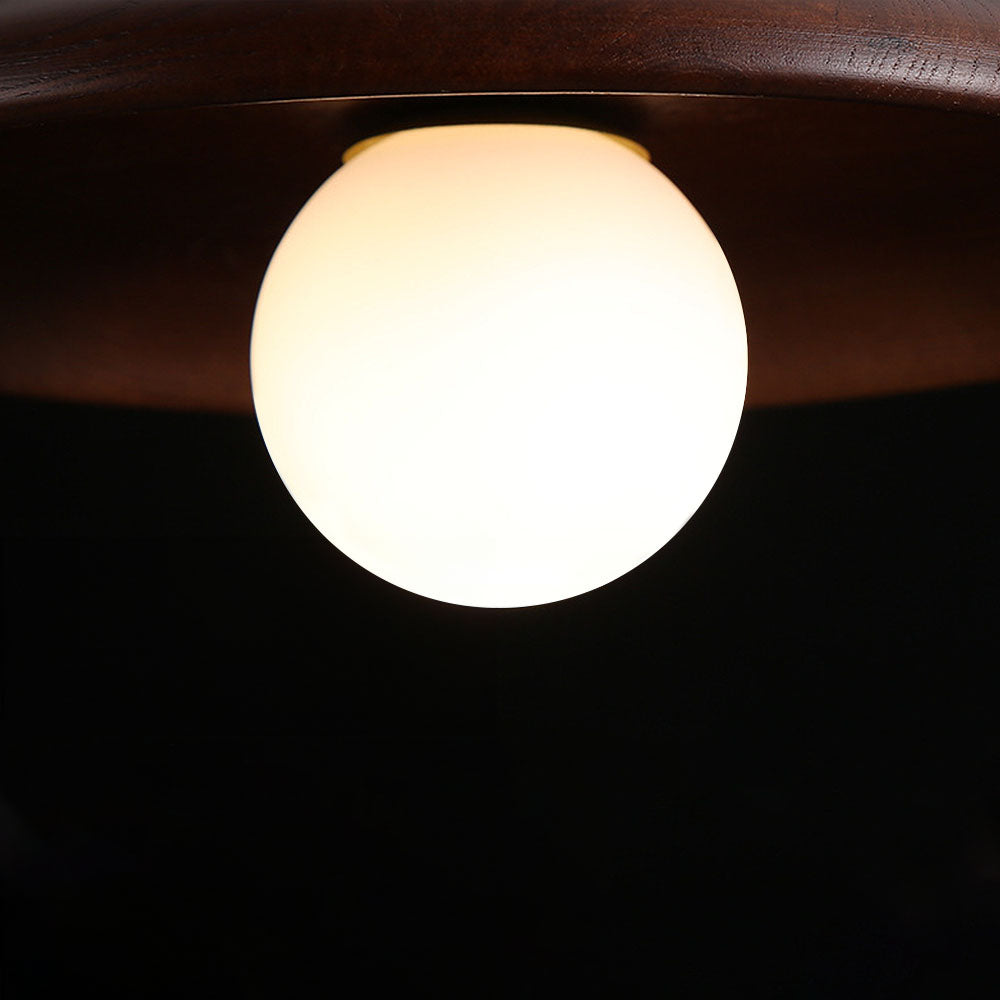 Nordic Wooden Minimalist Round Hallway Ceiling Light