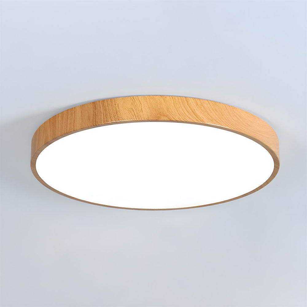 Concise Modern Wrought Iron Ceiling Light