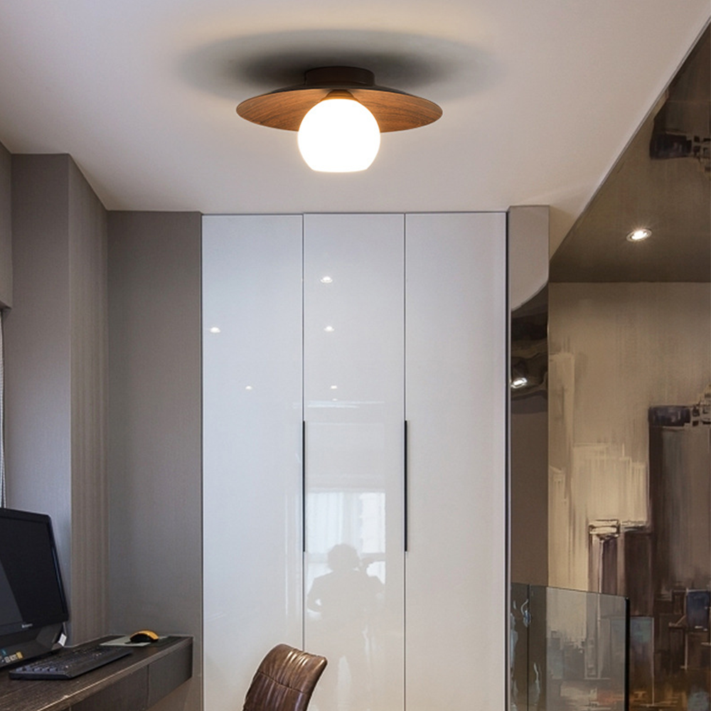 Minimalist Modern Entrance Ceiling Lights
