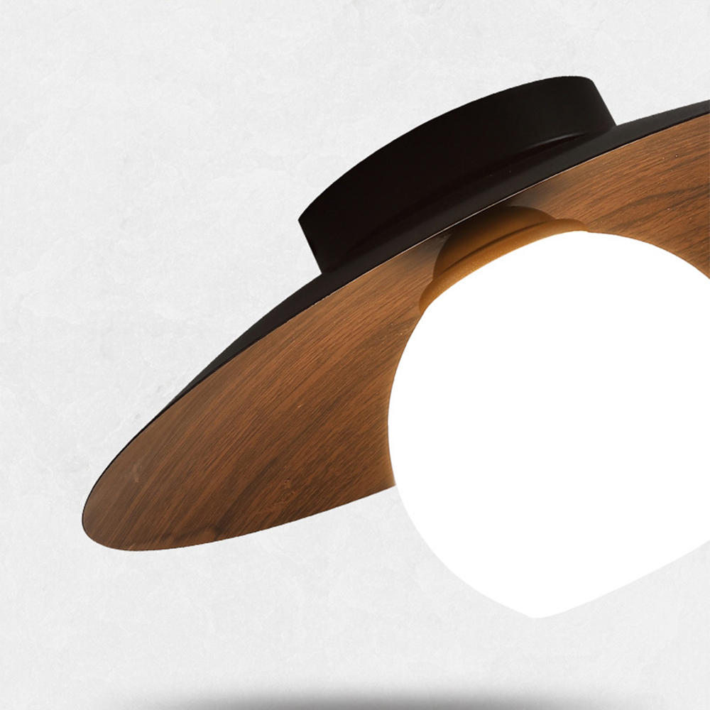 Minimalist Modern Entrance Ceiling Lights