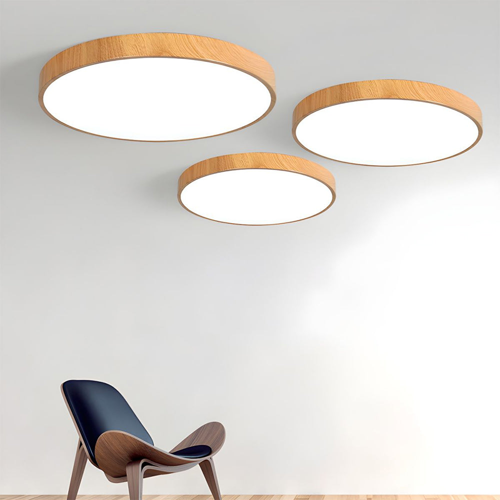 Concise Modern Wrought Iron Ceiling Light