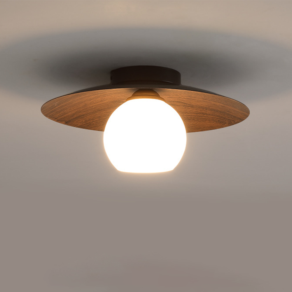Minimalist Modern Entrance Ceiling Lights