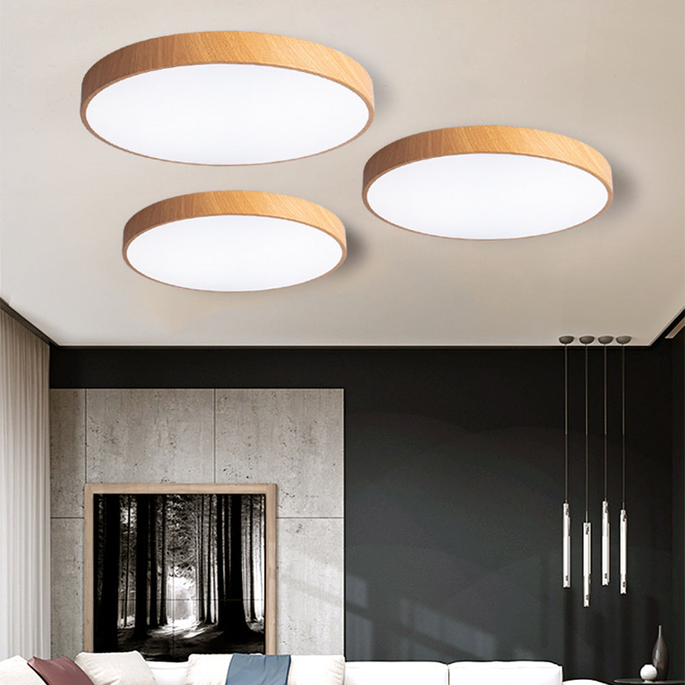 Concise Modern Wrought Iron Ceiling Light