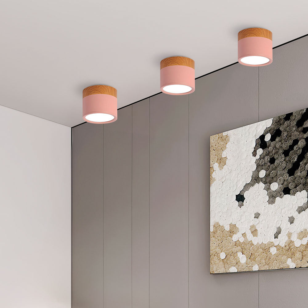 Modern Cylinder Small Flush Mount Ceiling Light