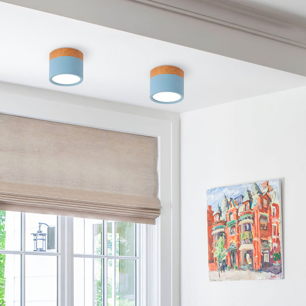 Modern Cylinder Small Flush Mount Ceiling Light