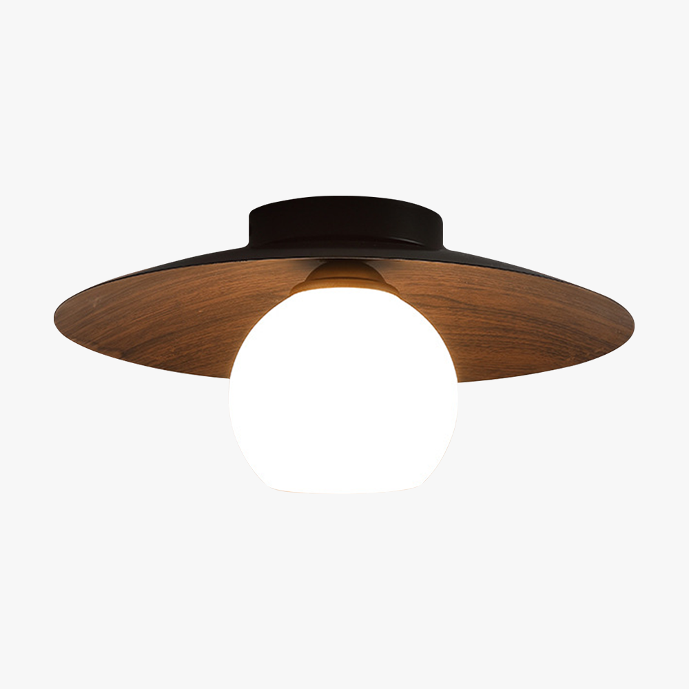 Minimalist Modern Entrance Ceiling Lights