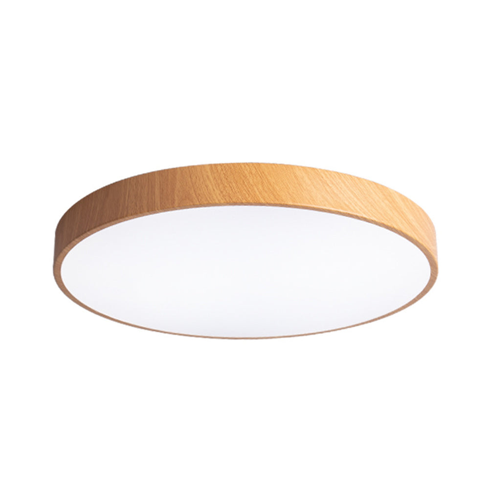 Concise Modern Wrought Iron Ceiling Light