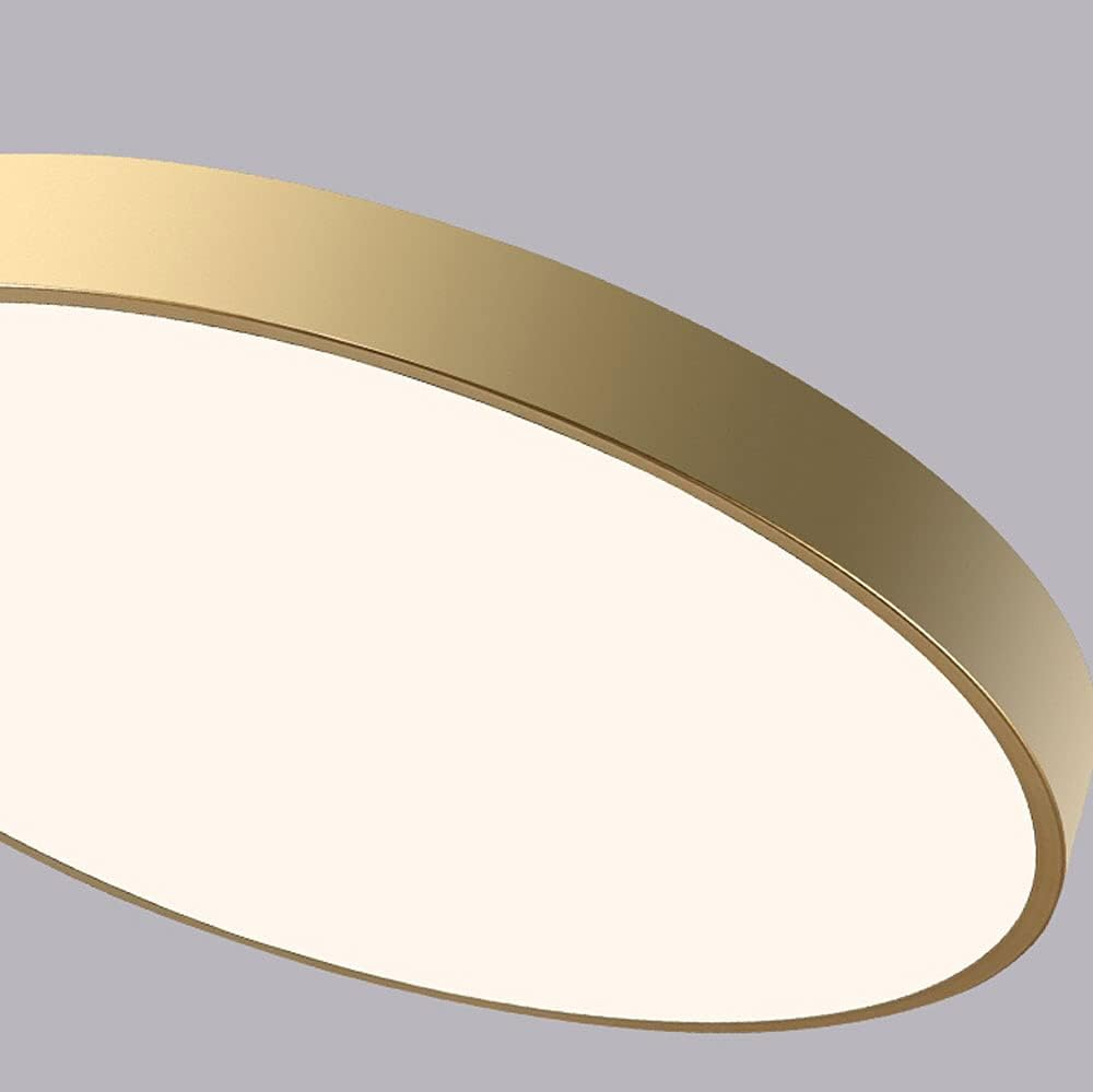Circular Modern LED Flush Mount Ceiling Light