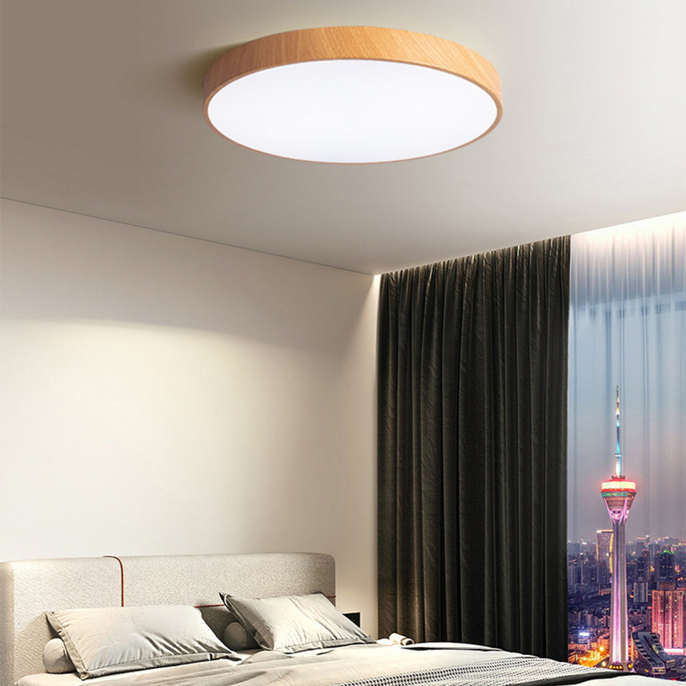 Concise Modern Wrought Iron Ceiling Light