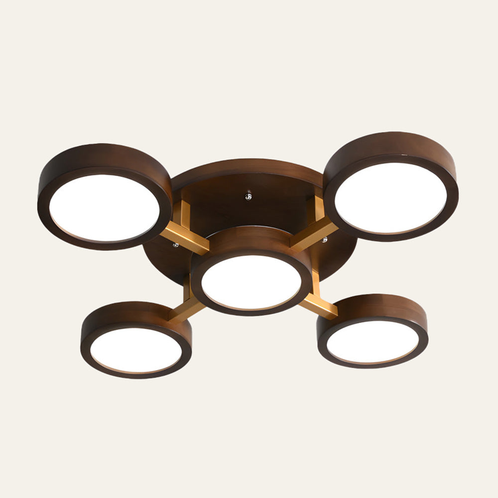Iron Wood Modern LED Bedroom Ceiling Light