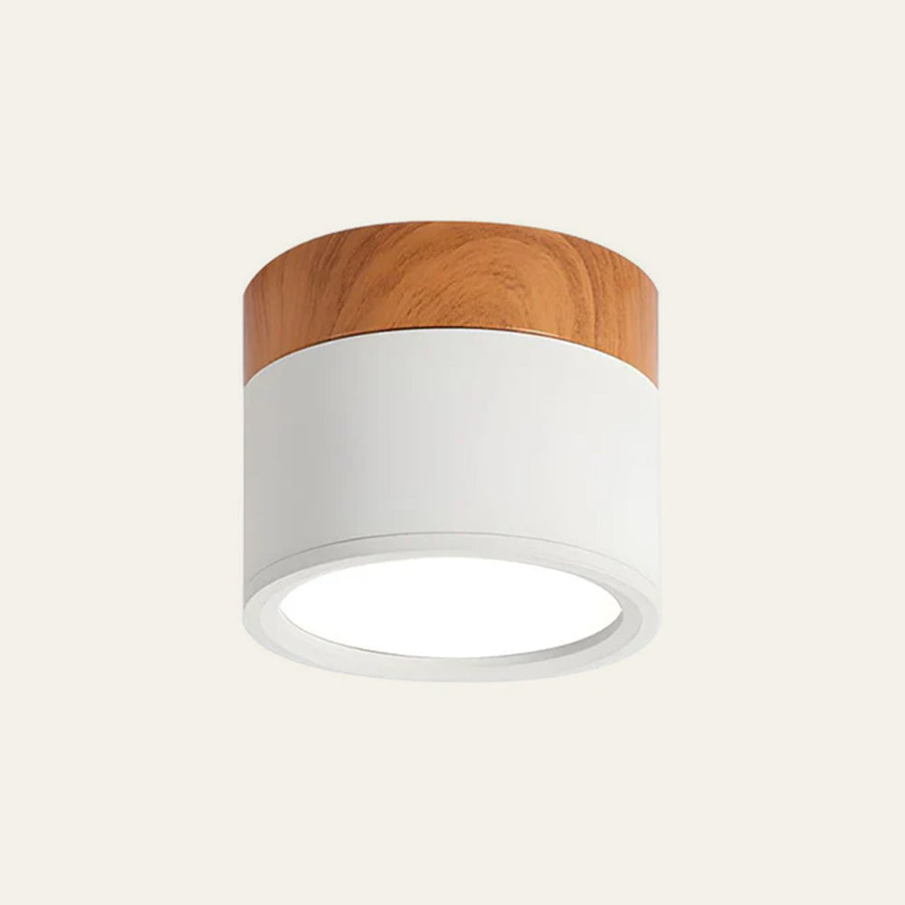 Outside Mini LED Porch Lights