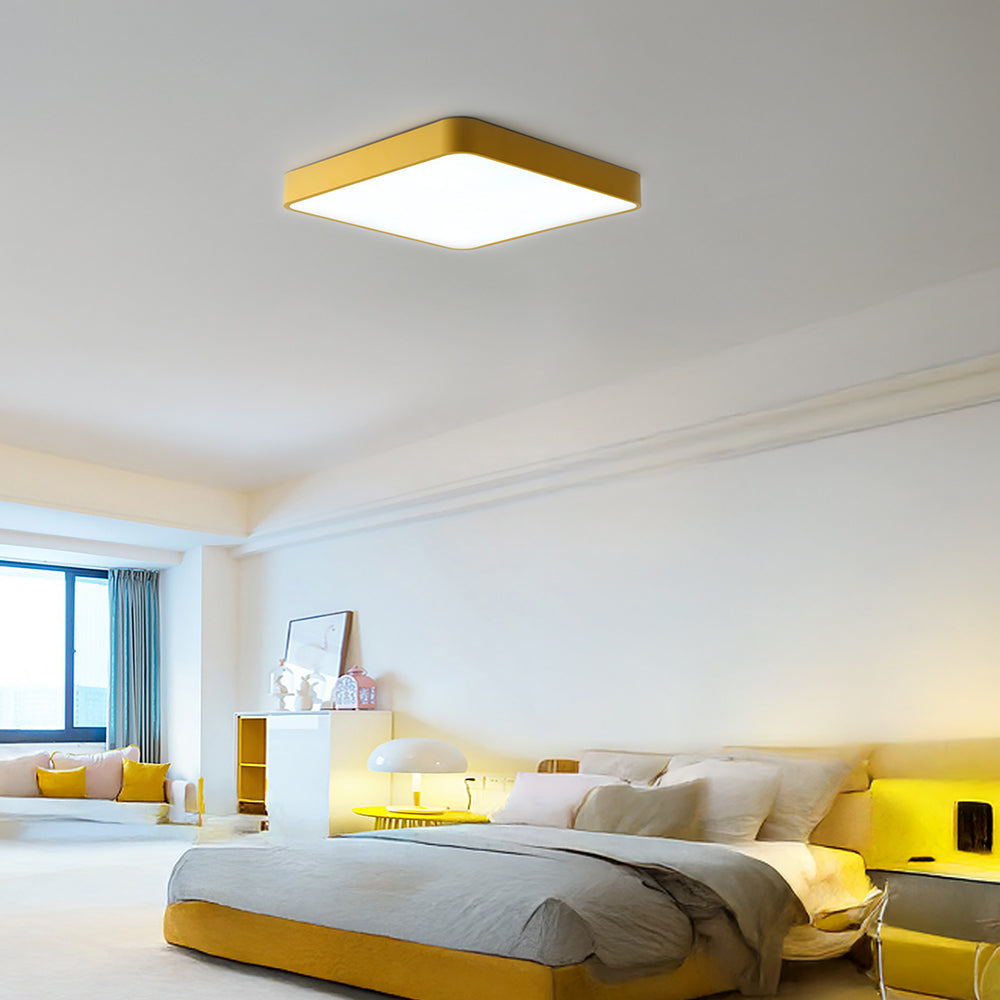 Modern Flush LED Ceiling Light For Living Room