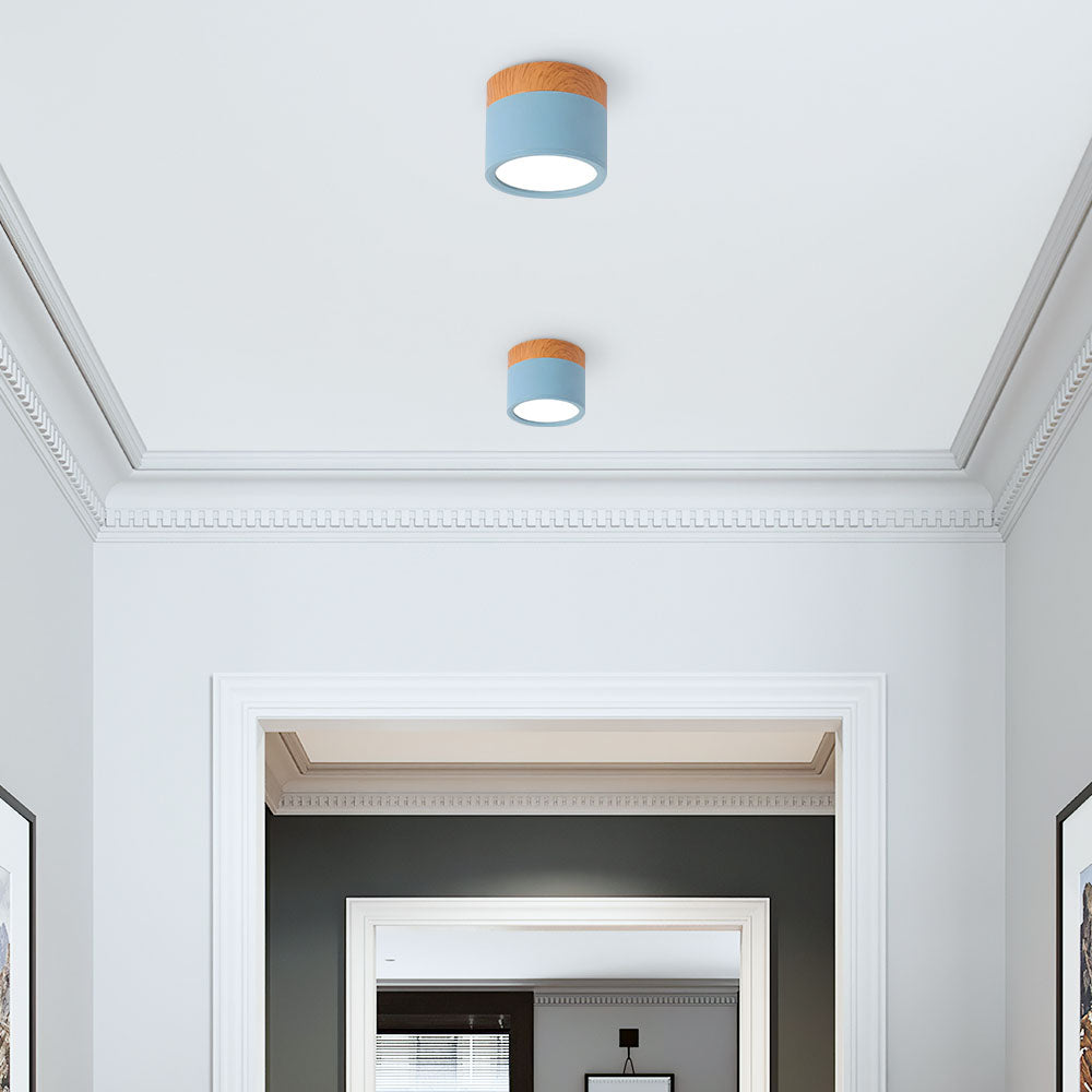 Modern Cylinder Small Flush Mount Ceiling Light