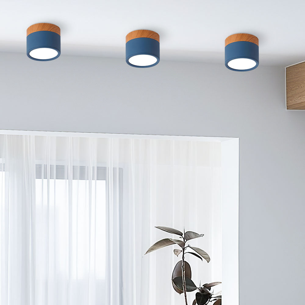 Modern Cylinder Small Flush Mount Ceiling Light