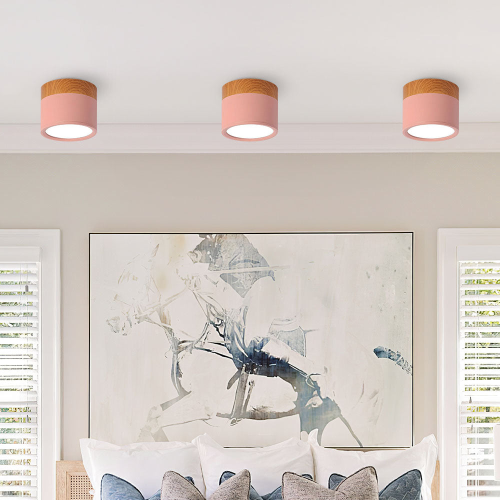 Modern Cylinder Small Flush Mount Ceiling Light
